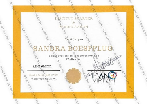 Pose de l’anneau gastrique virtuel